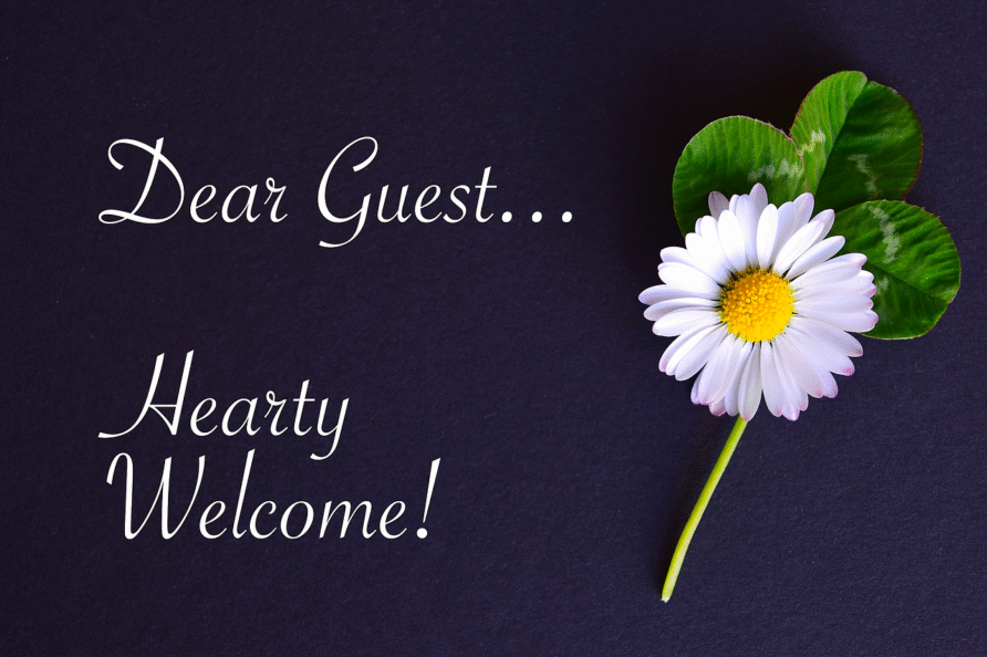 message, map, welcome, guest, daisy, four leaf clover, welcome, welcome, guest, guest, guest, guest, guest